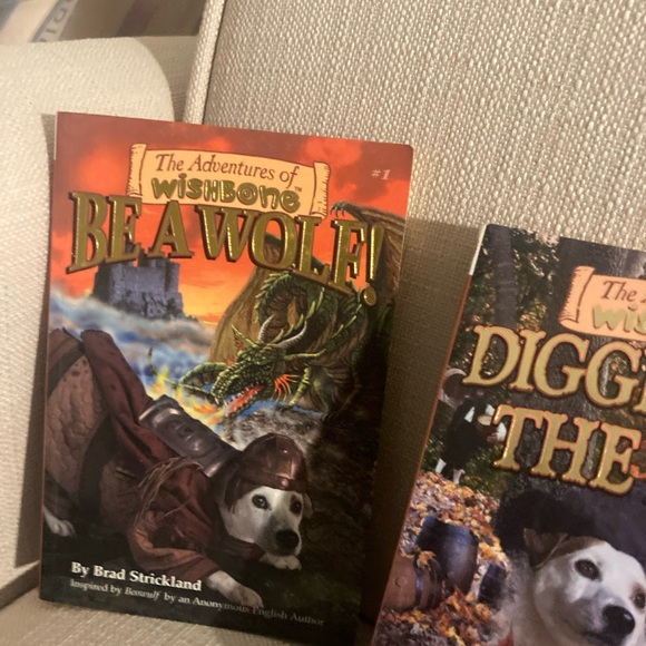 Wish bone 3 Paoerbacks book bundle as pictured like new excellent shape - Picture 2 of 5